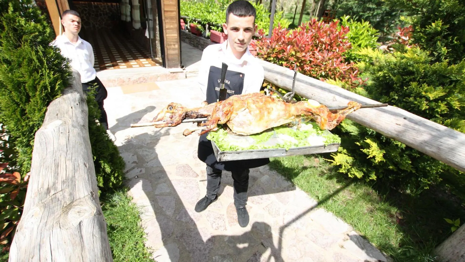 Lodge Lugina E Shengjergjit ,Bujtinat Villa Tirana